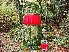 dsc00421_thumb.jpg