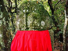dsc00422_thumb.jpg
