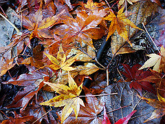 dsc00426_thumb.jpg