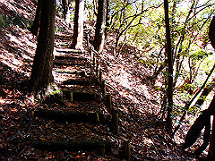 dsc00433_thumb.jpg