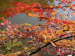 dsc00436_thumb.jpg