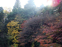 dsc00439_thumb.jpg