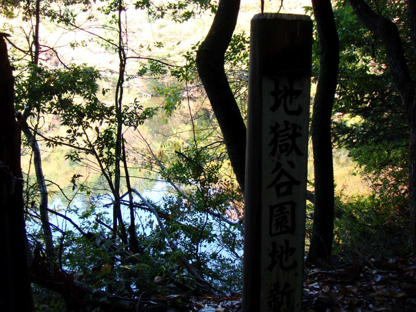 dsc00446.jpg