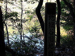dsc00446_thumb.jpg