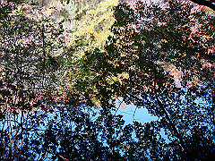 dsc00448_thumb.jpg
