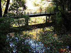 dsc00451_thumb.jpg
