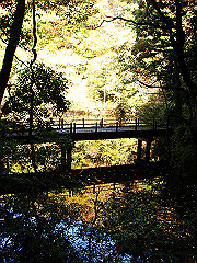 dsc00452_thumb.jpg