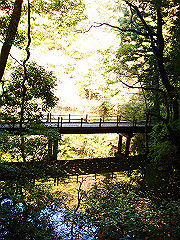 dsc00453_thumb.jpg
