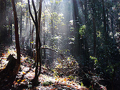 dsc00455_thumb.jpg