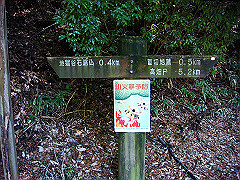 dsc00463_thumb.jpg