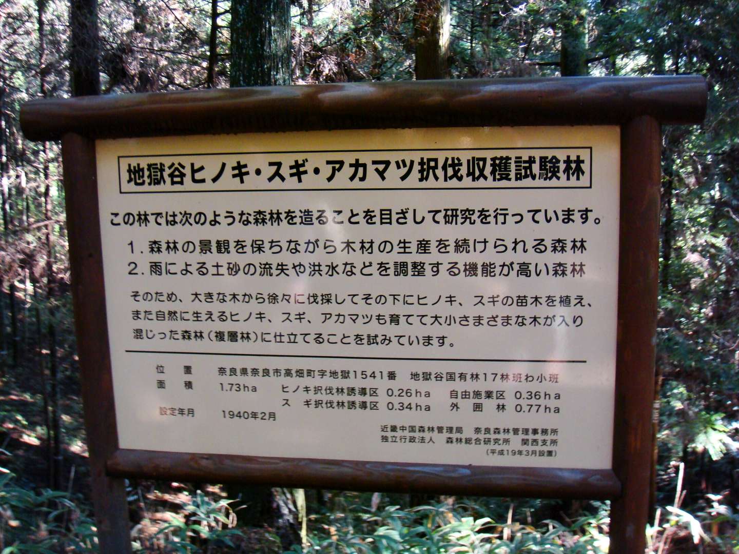 dsc00465.jpg