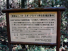 dsc00465_thumb.jpg