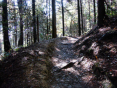 dsc00466_thumb.jpg