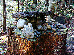 dsc00468_thumb.jpg