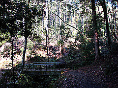 dsc00470_thumb.jpg