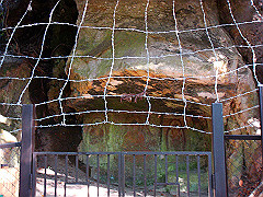 dsc00476_thumb.jpg