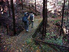 dsc00478_thumb.jpg