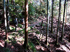 dsc00480_thumb.jpg