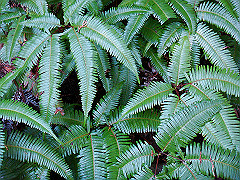dsc00484_thumb.jpg