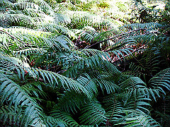 dsc00485_thumb.jpg