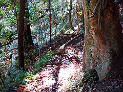 dsc00486_thumb.jpg
