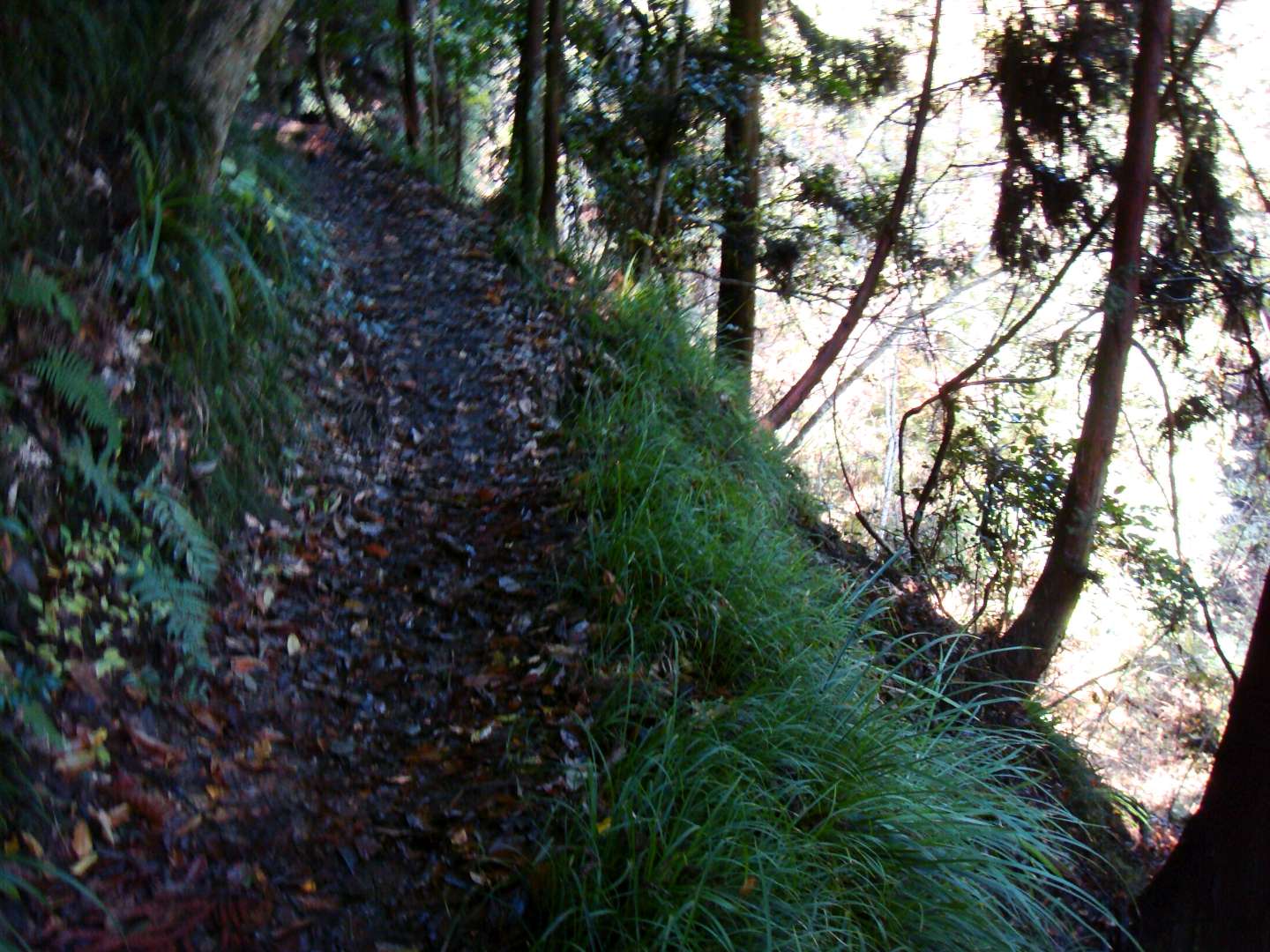 dsc00488.jpg