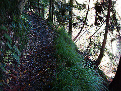 dsc00488_thumb.jpg