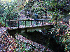 dsc00490_thumb.jpg