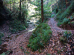 dsc00491_thumb.jpg