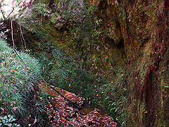 dsc00493_thumb.jpg