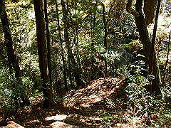 dsc00495_thumb.jpg
