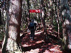 dsc00496_thumb.jpg