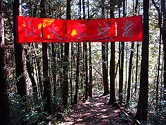 dsc00497_thumb.jpg