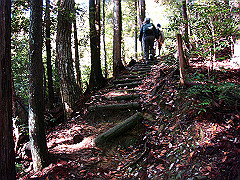 dsc00498_thumb.jpg