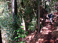 dsc00499_thumb.jpg