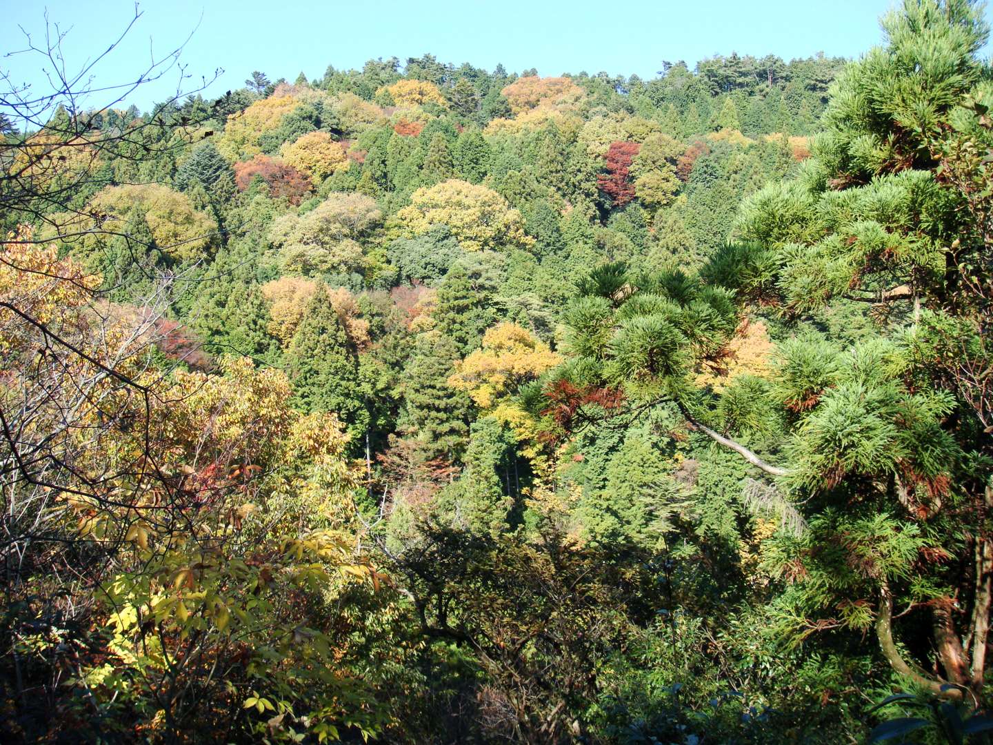 dsc00500.jpg