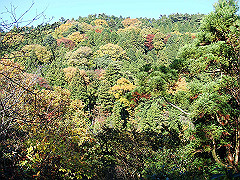 dsc00500_thumb.jpg