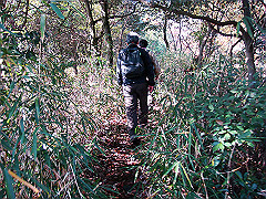 dsc00501_thumb.jpg