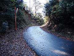 dsc00503_thumb.jpg