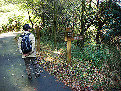 dsc00504_thumb.jpg
