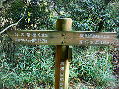 dsc00505_thumb.jpg