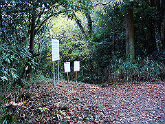 dsc00506_thumb.jpg