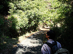 dsc00507_thumb.jpg