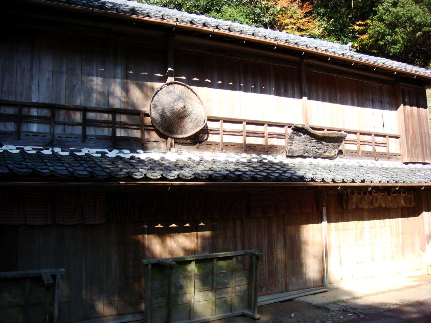 dsc00509.jpg