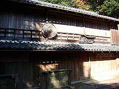 dsc00509_thumb.jpg