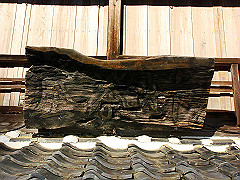 dsc00511_thumb.jpg