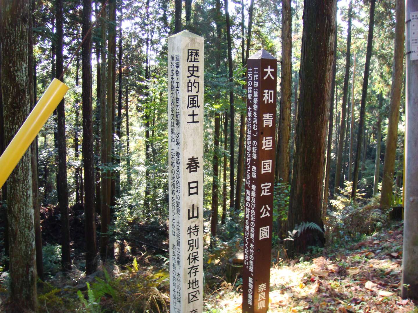 dsc00512.jpg