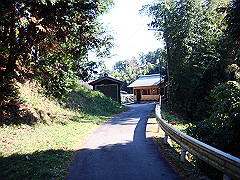 dsc00513_thumb.jpg