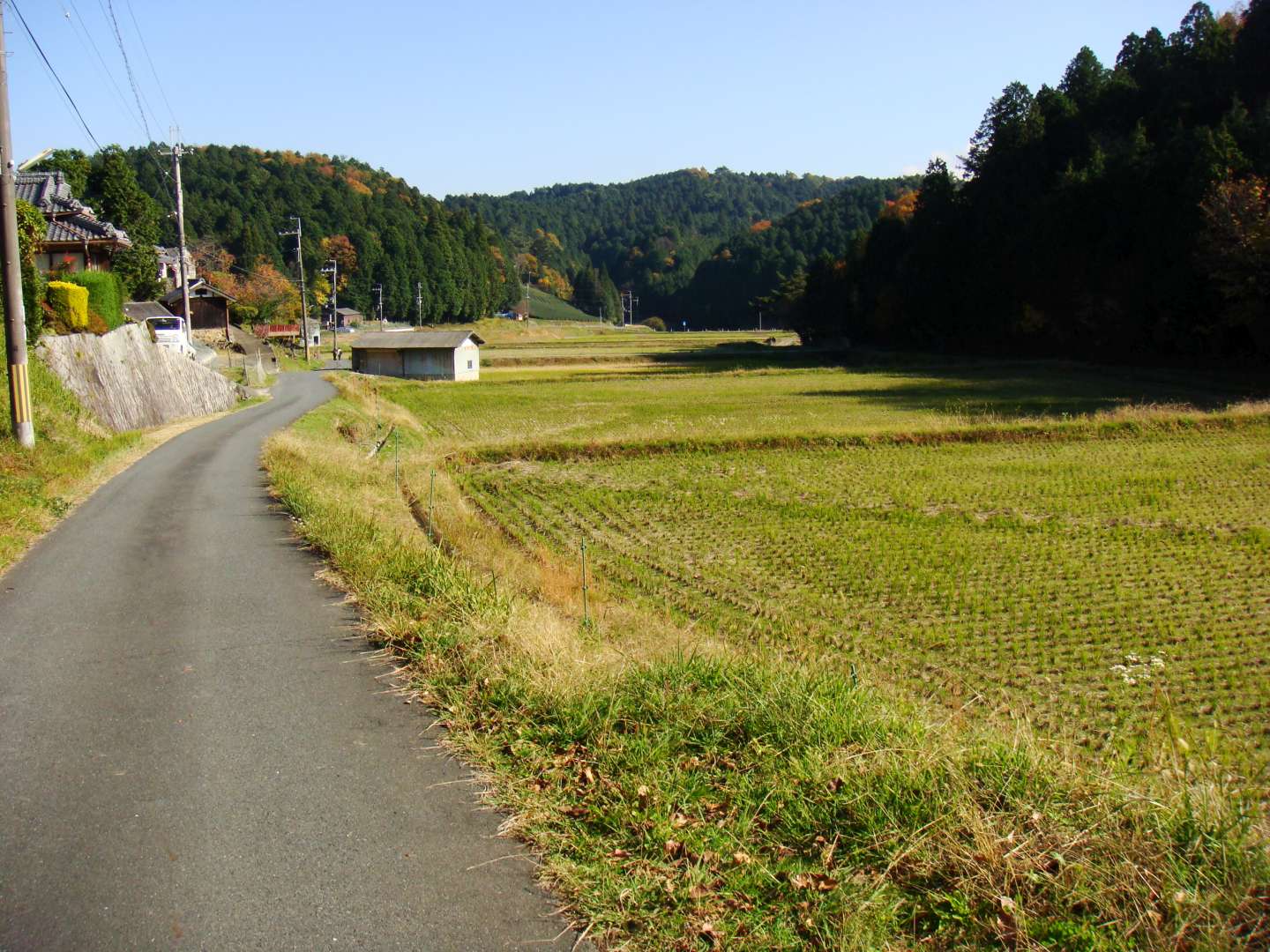 dsc00518.jpg