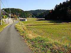 dsc00518_thumb.jpg